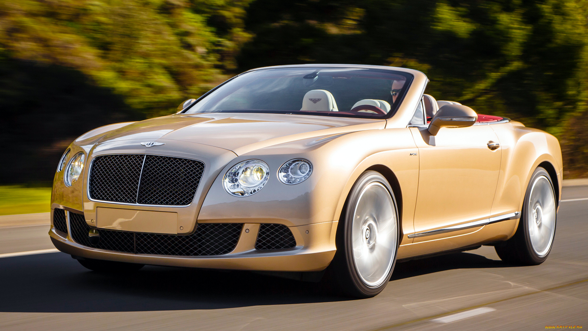 bentley, continental, , motors, , , -